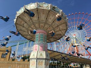 IMG_2733 (1)