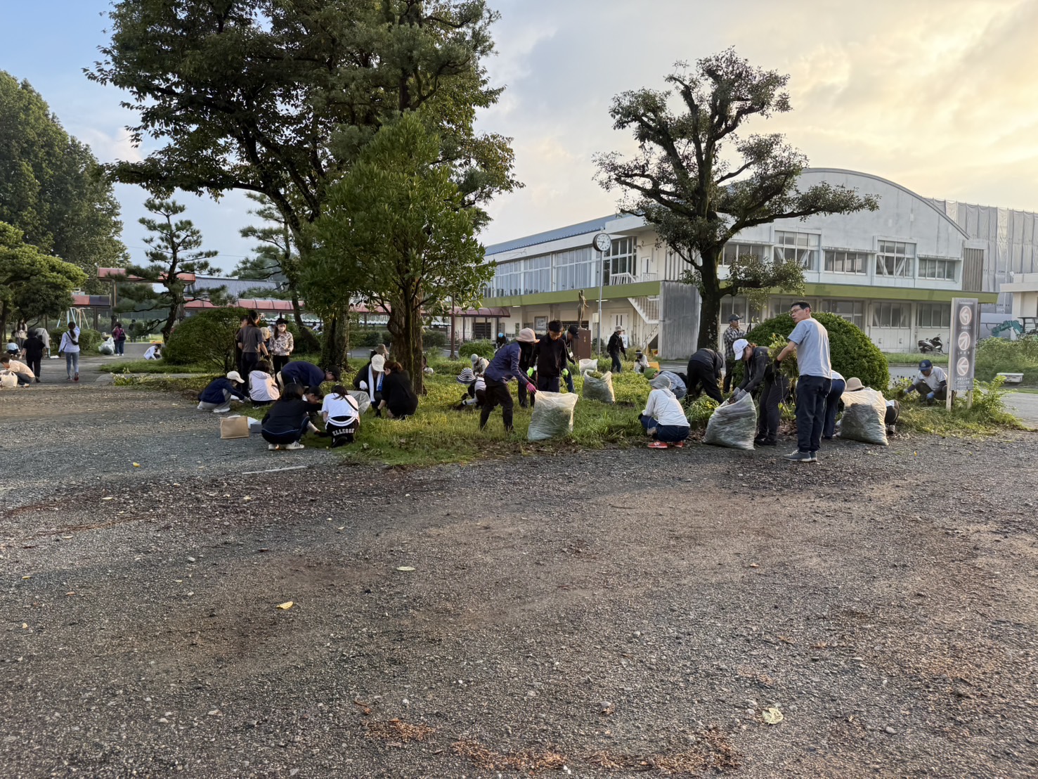 美化作業5